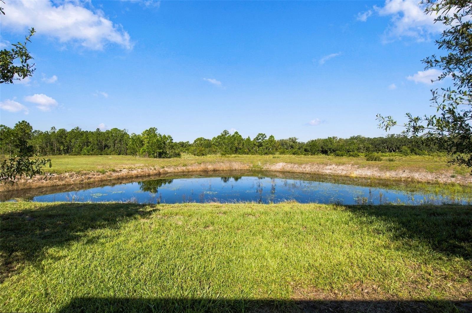 377 PRESERVE POINTE BOULEVARD, Davenport, FL 33837