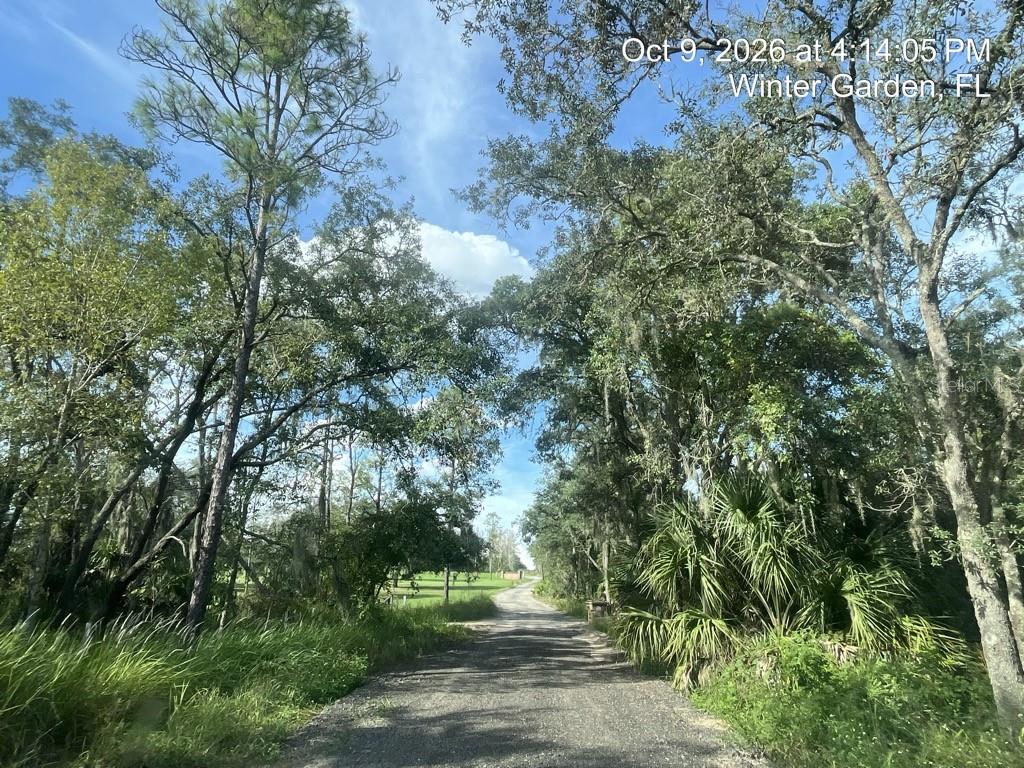 9901 AVALON WOODS DRIVE, Winter Garden, FL 34787