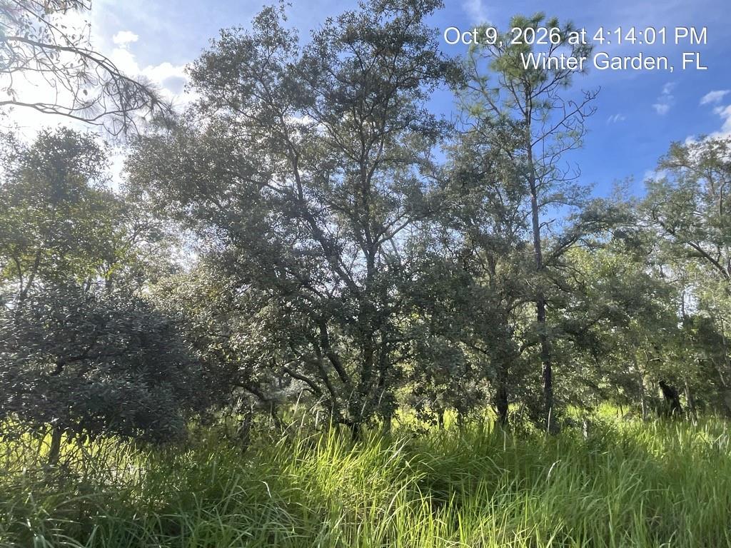 9901 AVALON WOODS DRIVE, Winter Garden, FL 34787