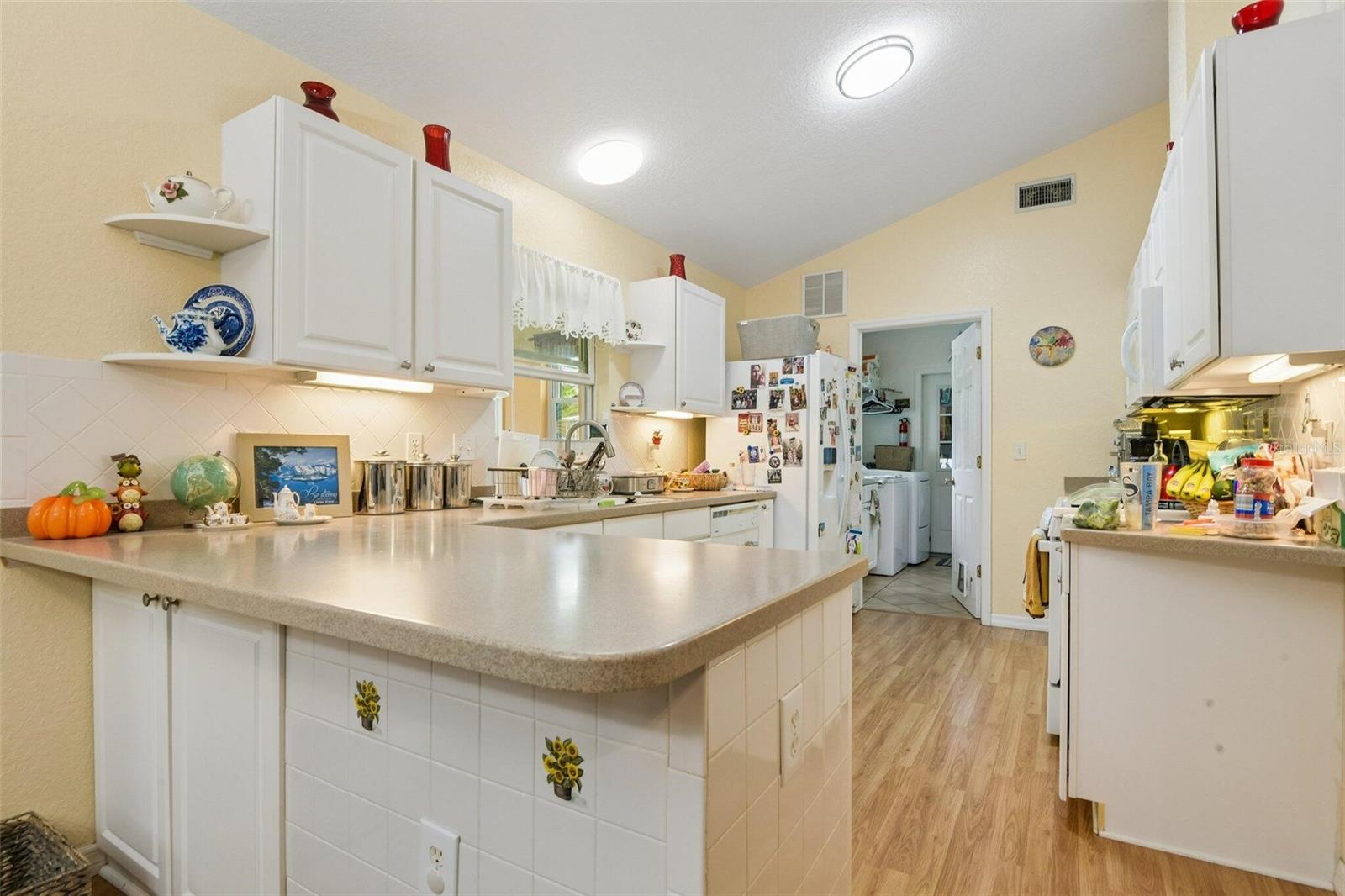 7319 DRIFTING SAND DRIVE, Wesley Chapel, FL 33544