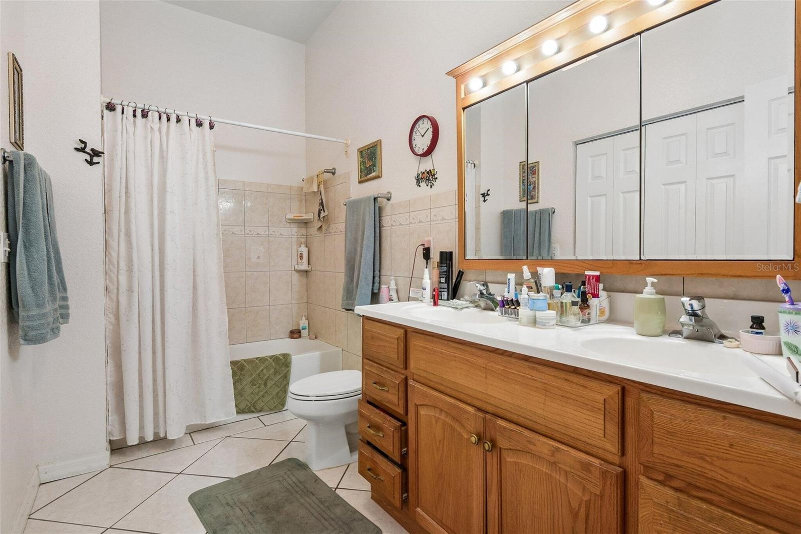 7319 DRIFTING SAND DRIVE, Wesley Chapel, FL 33544