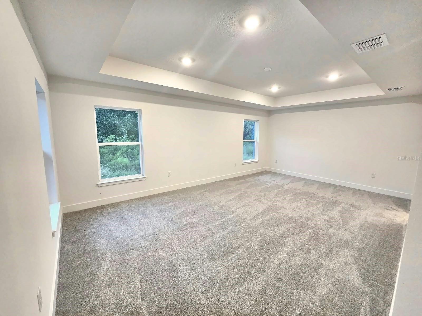 Primary bedroom with tray ceiling