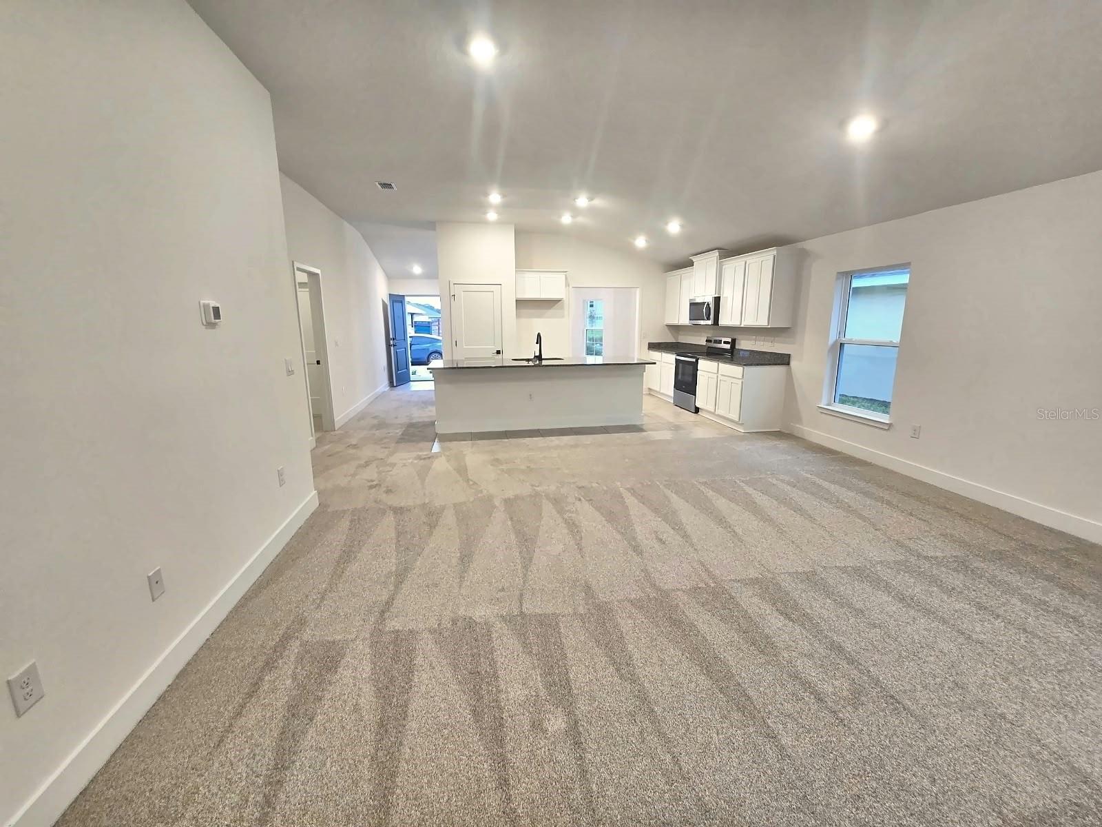 Family room and kitchen