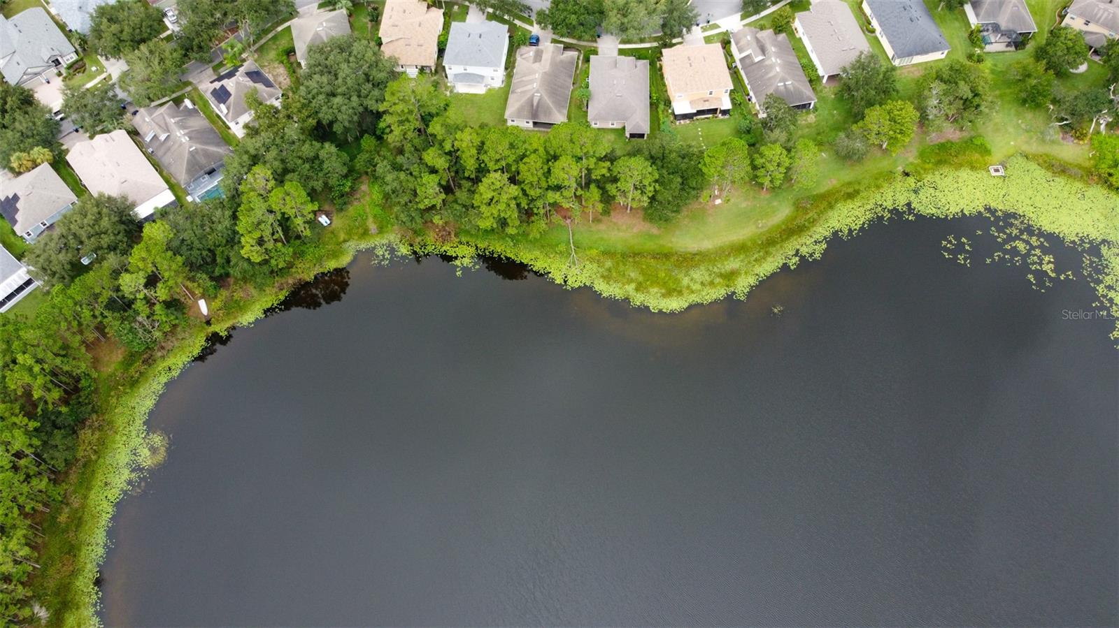 3341 LAKE JEAN DRIVE, Orlando, FL 32817