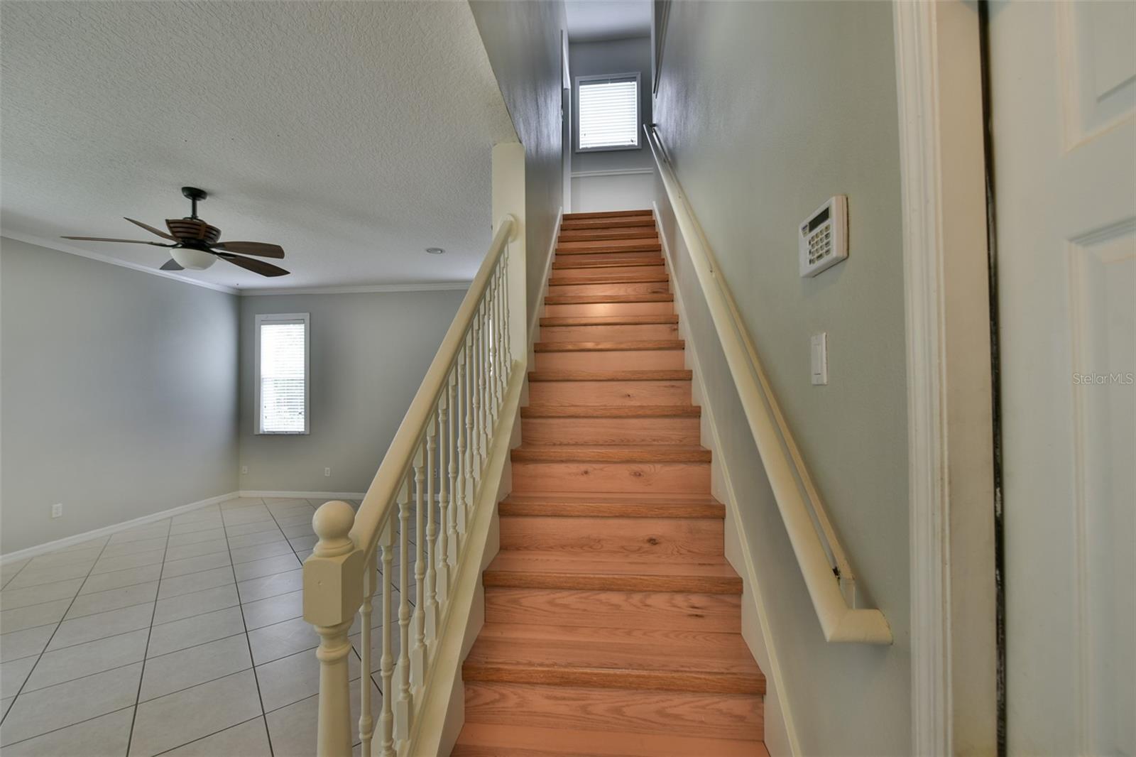3341 LAKE JEAN DRIVE, Orlando, FL 32817