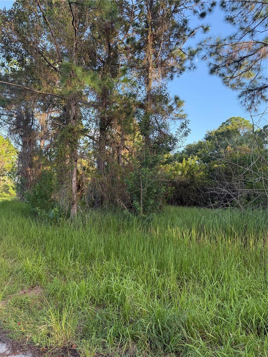 FERGUS AVENUE, Palm Bay, FL 32909 FERGUS AVENUE, Palm Bay, FL 32909