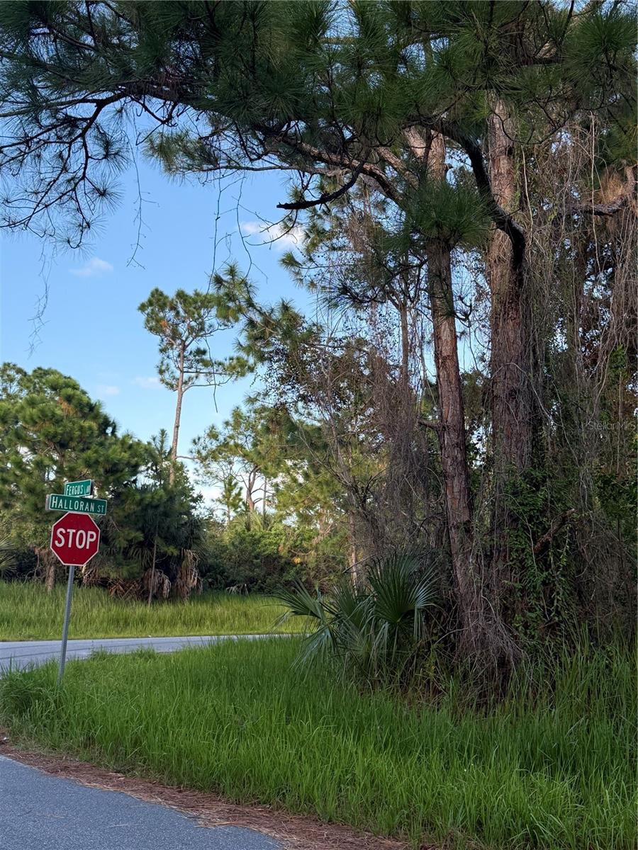 FERGUS AVENUE, Palm Bay, FL 32909 FERGUS AVENUE, Palm Bay, FL 32909