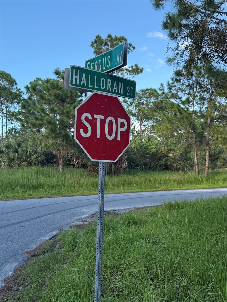 FERGUS AVENUE, Palm Bay, FL 32909 FERGUS AVENUE, Palm Bay, FL 32909