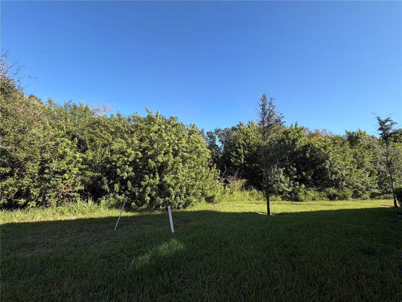 9650 PEMBROOKE PINES DRIVE, Sun City Center, FL 33573