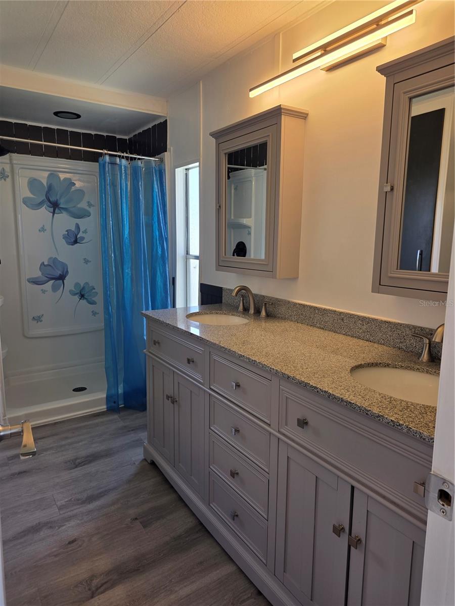 Primary Bath NEW Walk-In Shower