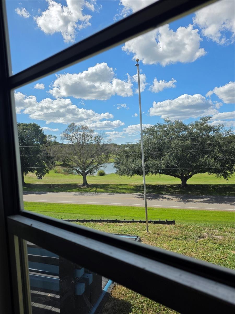 View From Living Room