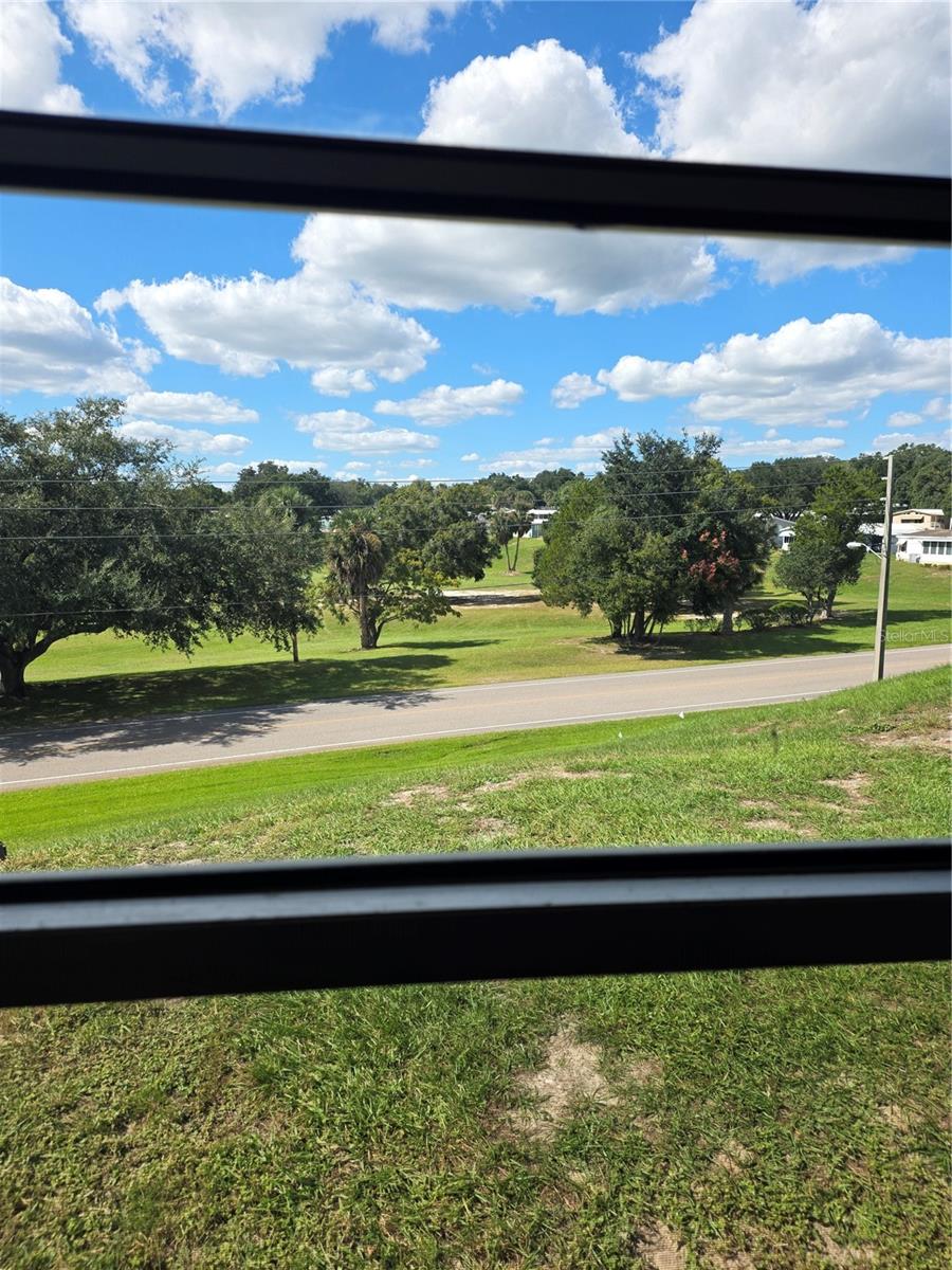 View From Living Room