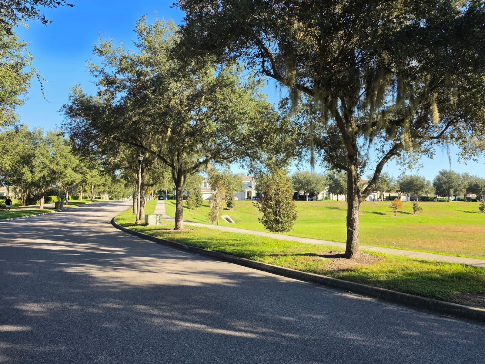 9389 LA SALLE STREET, Groveland, FL 34736