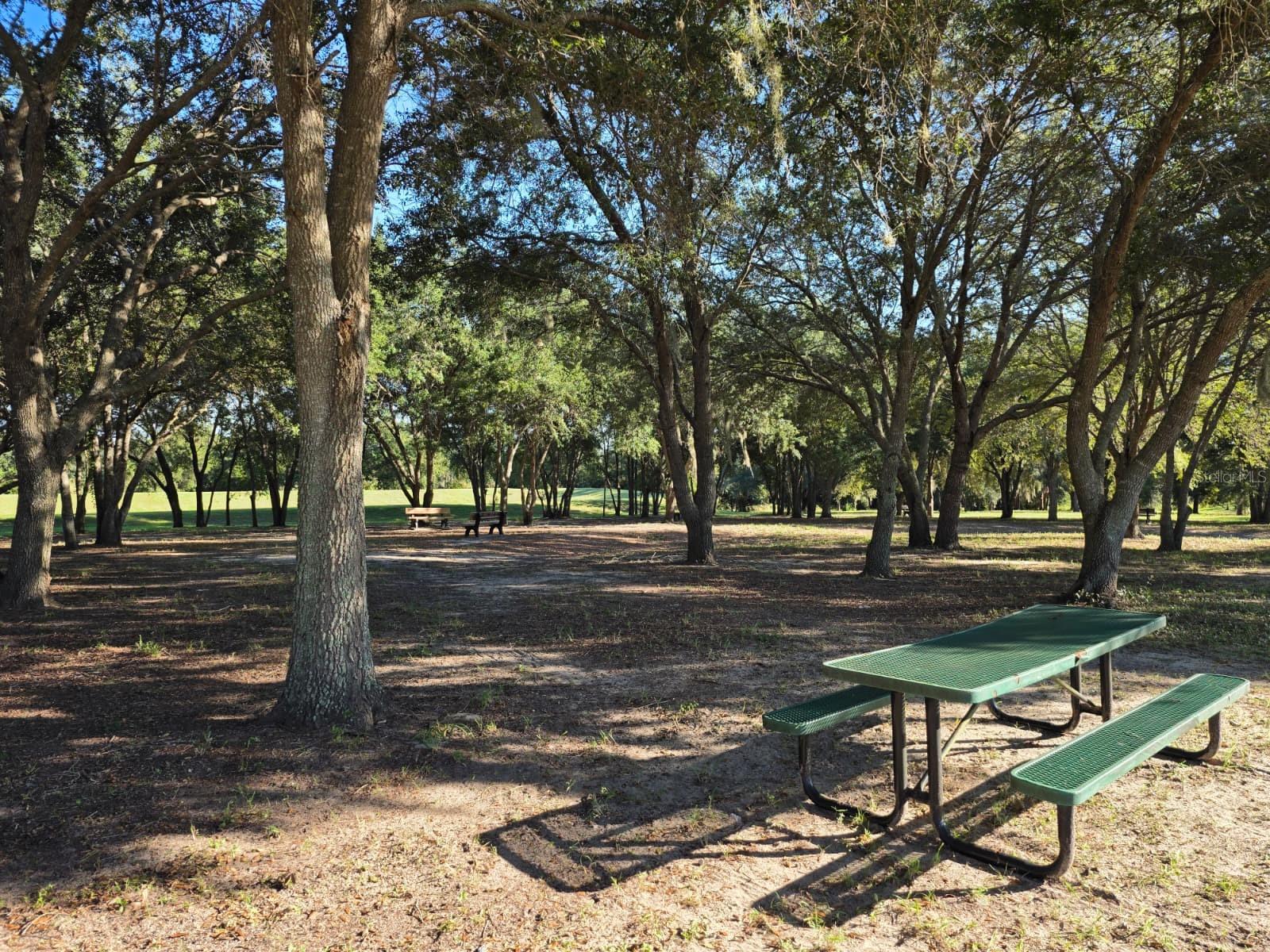 9389 LA SALLE STREET, Groveland, FL 34736