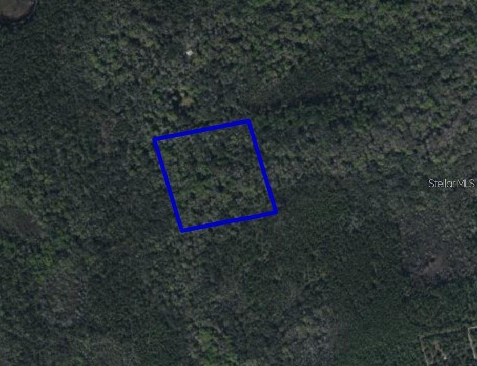 095 PINE NEEDLE ROAD, Mims, FL 32754 095 PINE NEEDLE ROAD, Mims, FL 32754