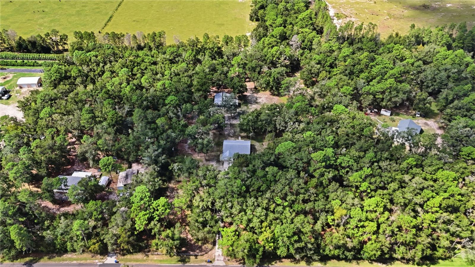 13028 S OAKVIEW AVENUE, Floral City, FL 34436