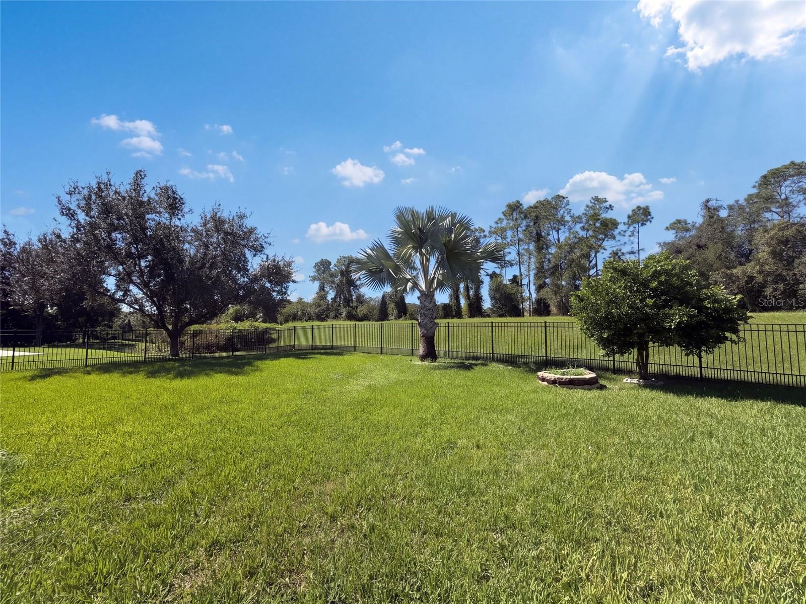 20009 OUTPOST POINT DRIVE, Tampa, FL 33647