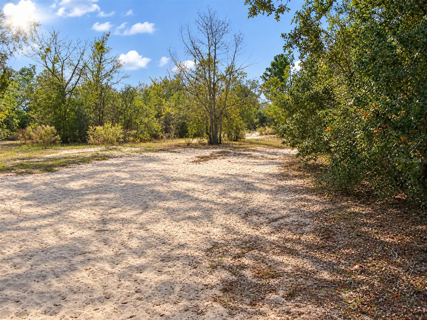 11951 HOLLAND DRIVE, Leesburg, FL 34788 11951 HOLLAND DRIVE, Leesburg, FL 34788