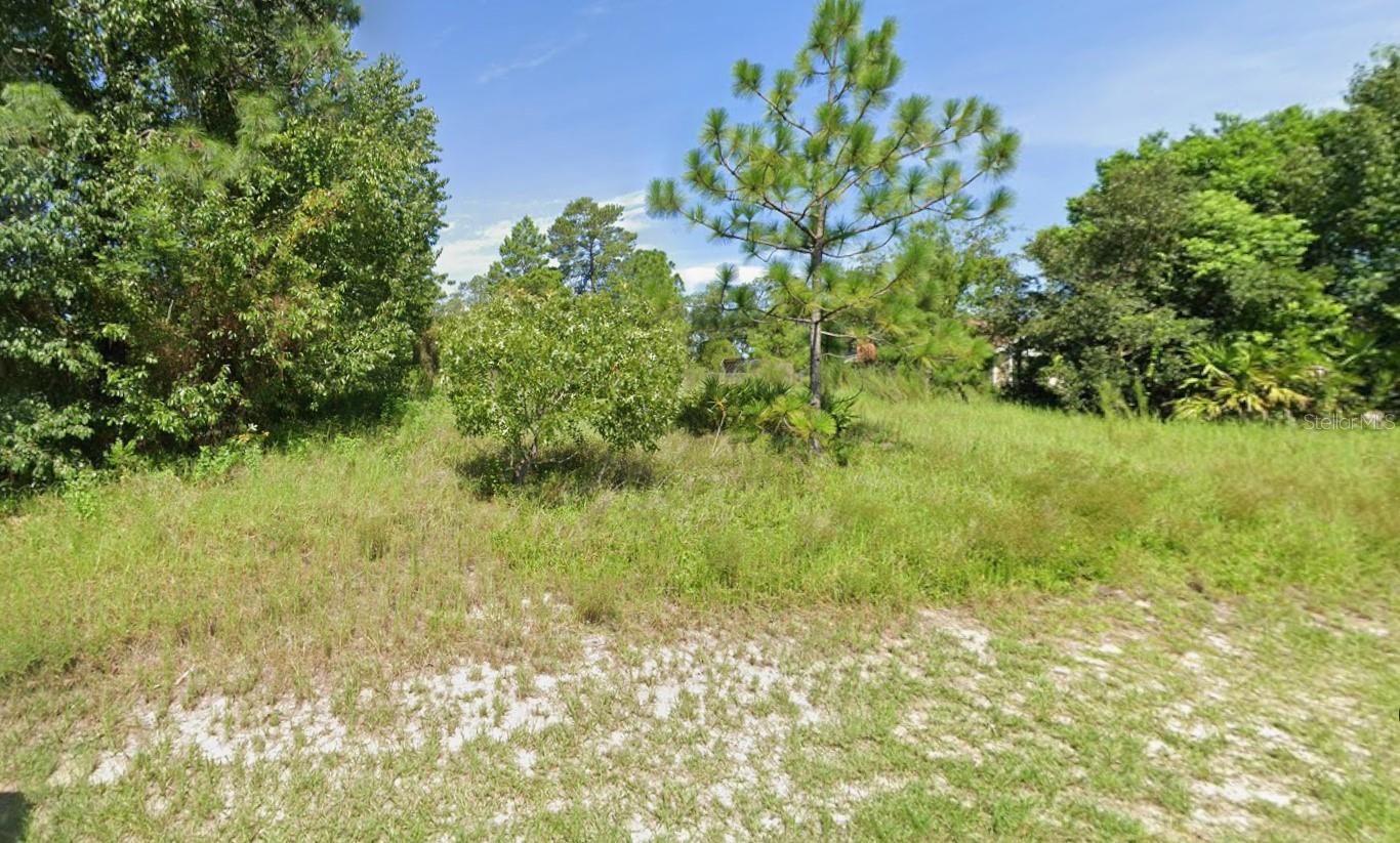 10533 NODDY TERN ROAD, Weeki Wachee, FL 34613
