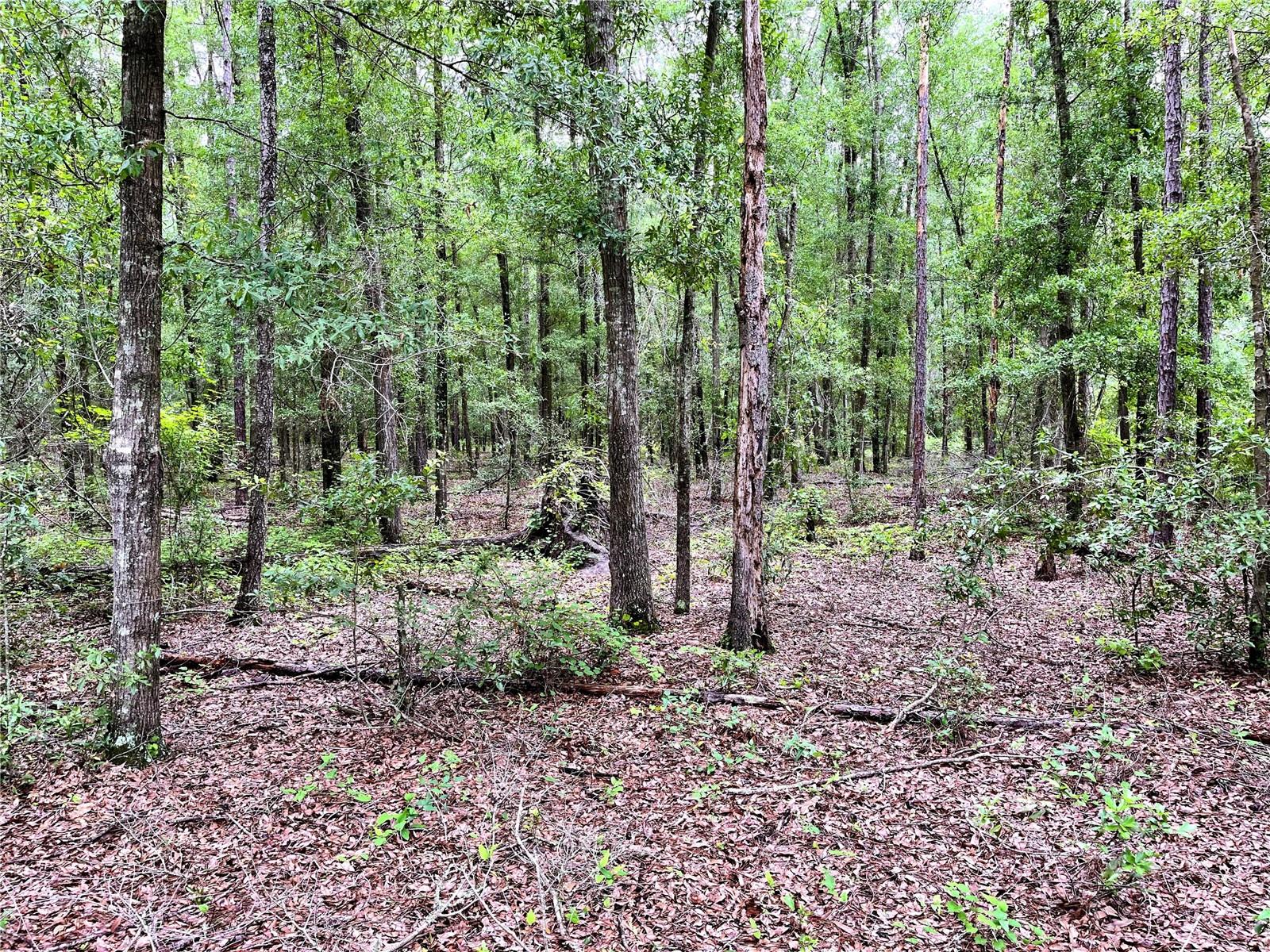 1874 SW NAUTILUS ROAD, Lake City, FL 32024