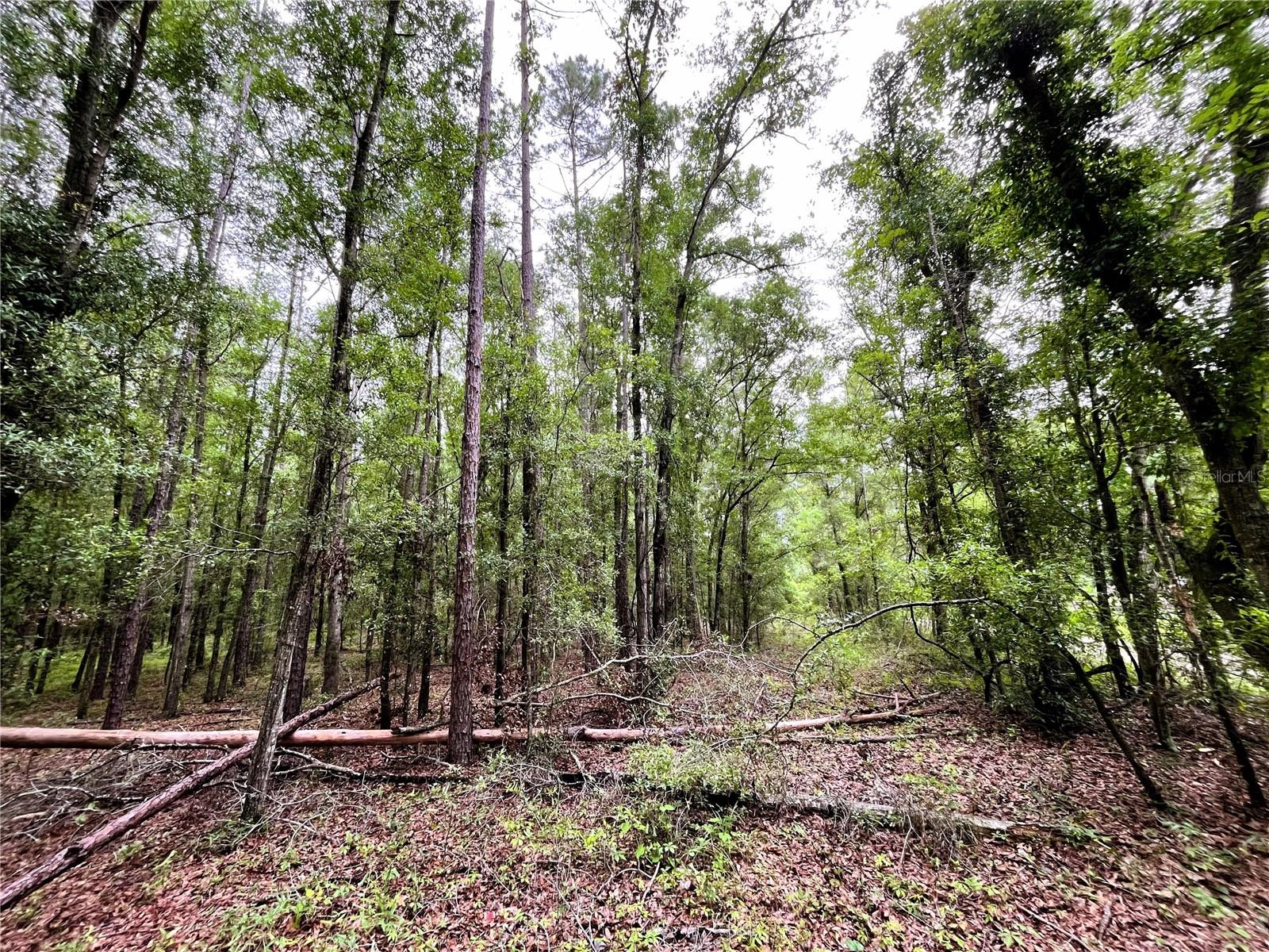 1874 SW NAUTILUS ROAD, Lake City, FL 32024