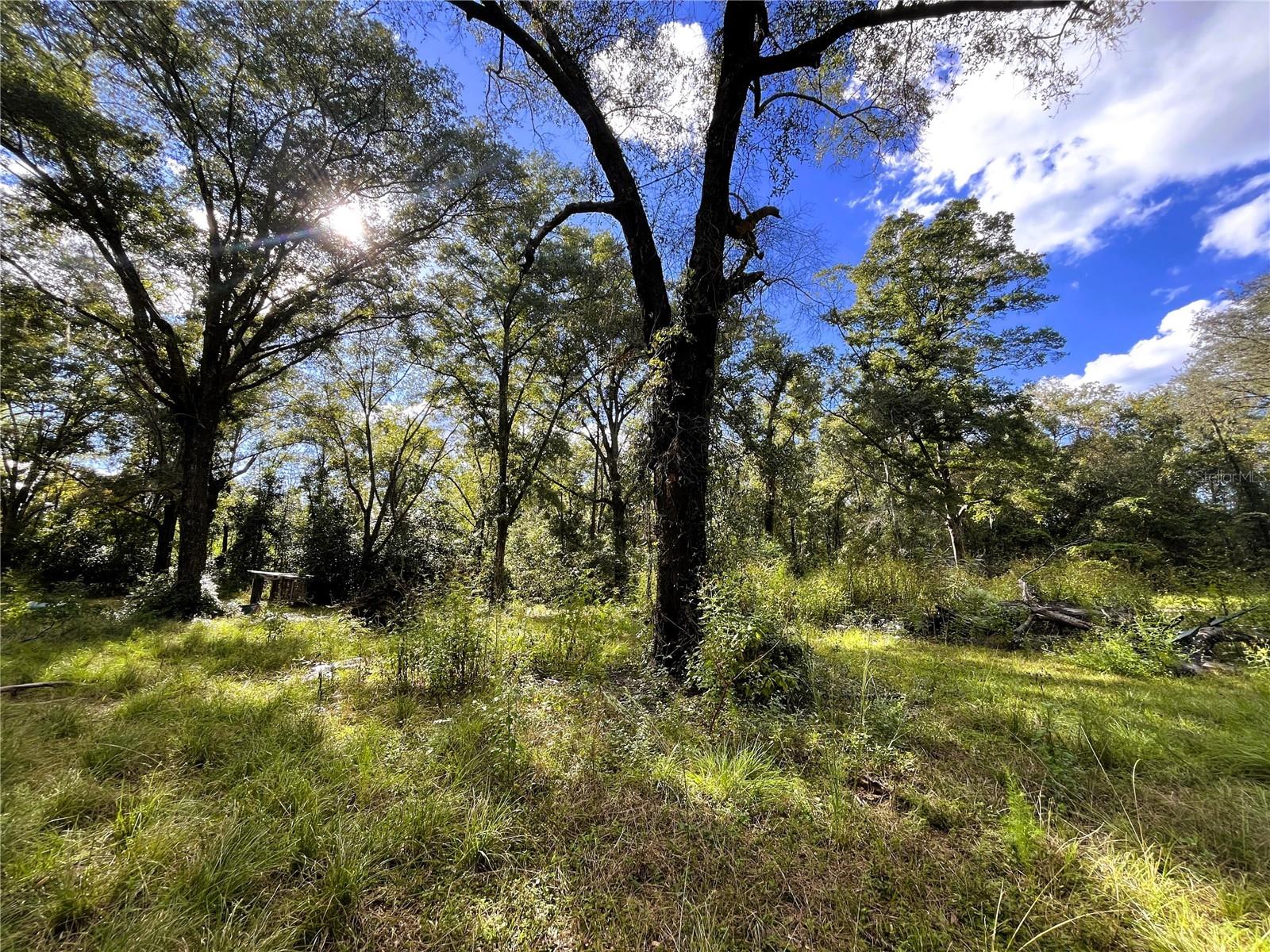 1874 SW NAUTILUS ROAD, Lake City, FL 32024