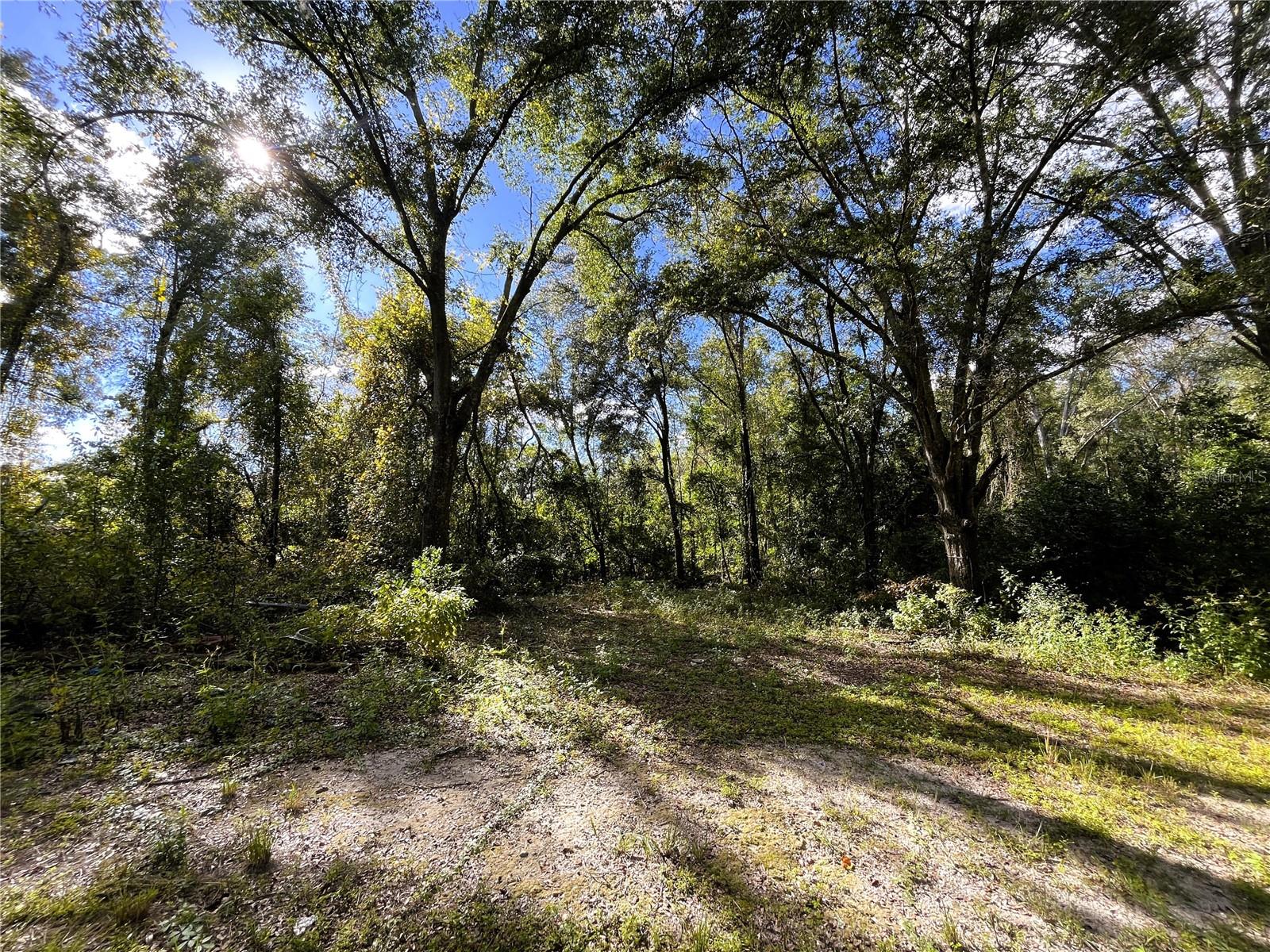 1874 SW NAUTILUS ROAD, Lake City, FL 32024