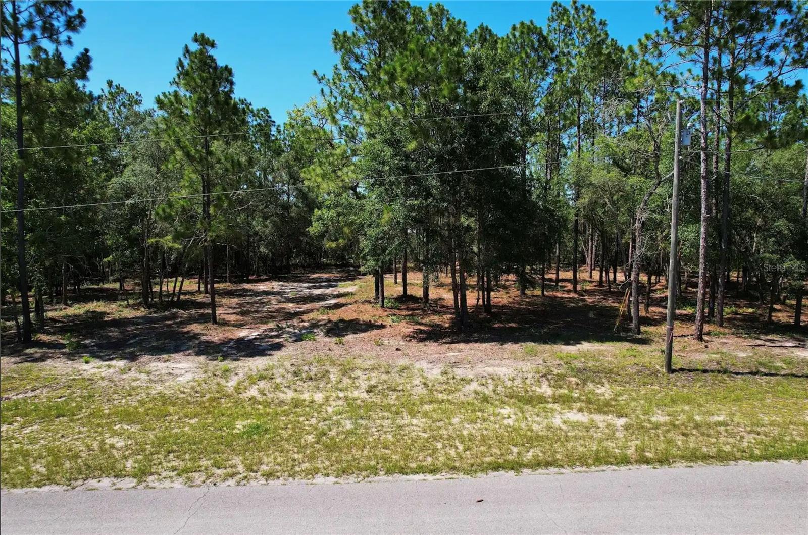 SE COUNTY ROAD 337, Morriston, FL 32668