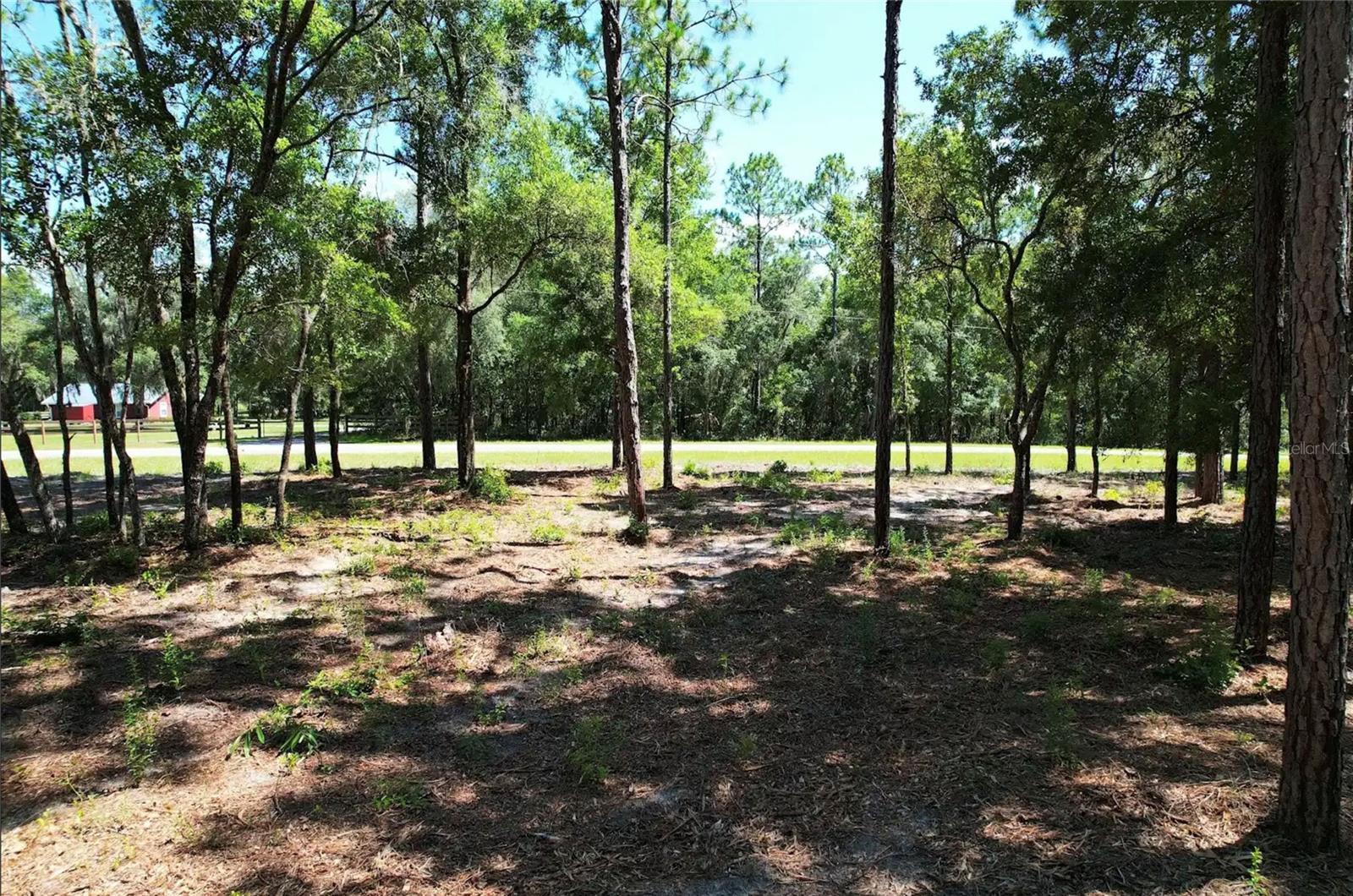 SE COUNTY ROAD 337, Morriston, FL 32668