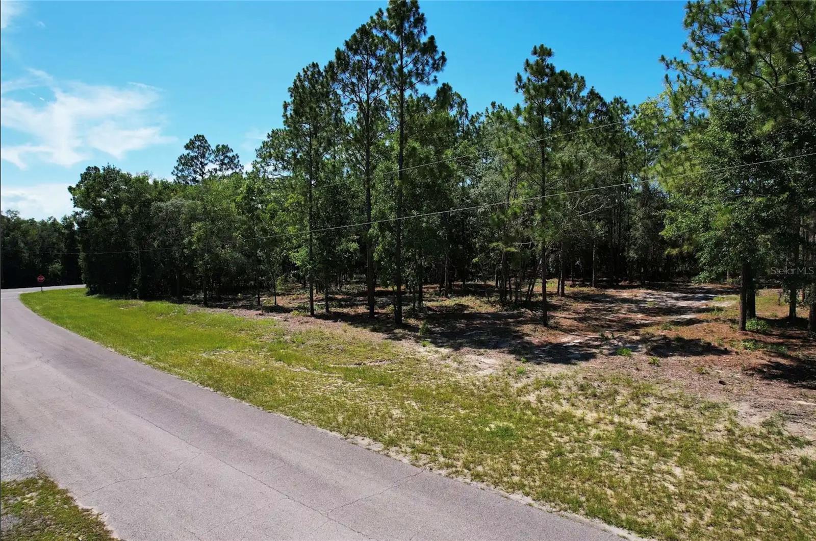 SE COUNTY ROAD 337, Morriston, FL 32668
