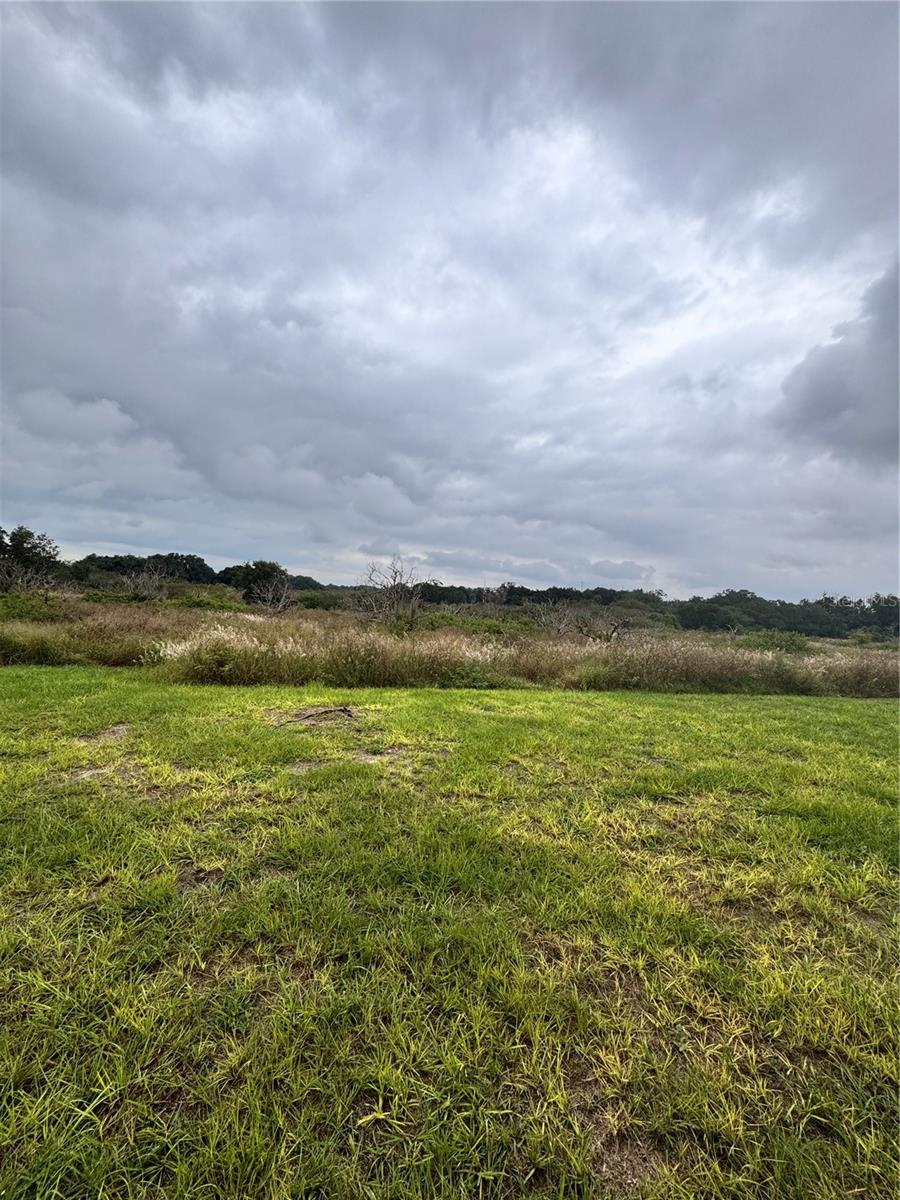 Behind home view