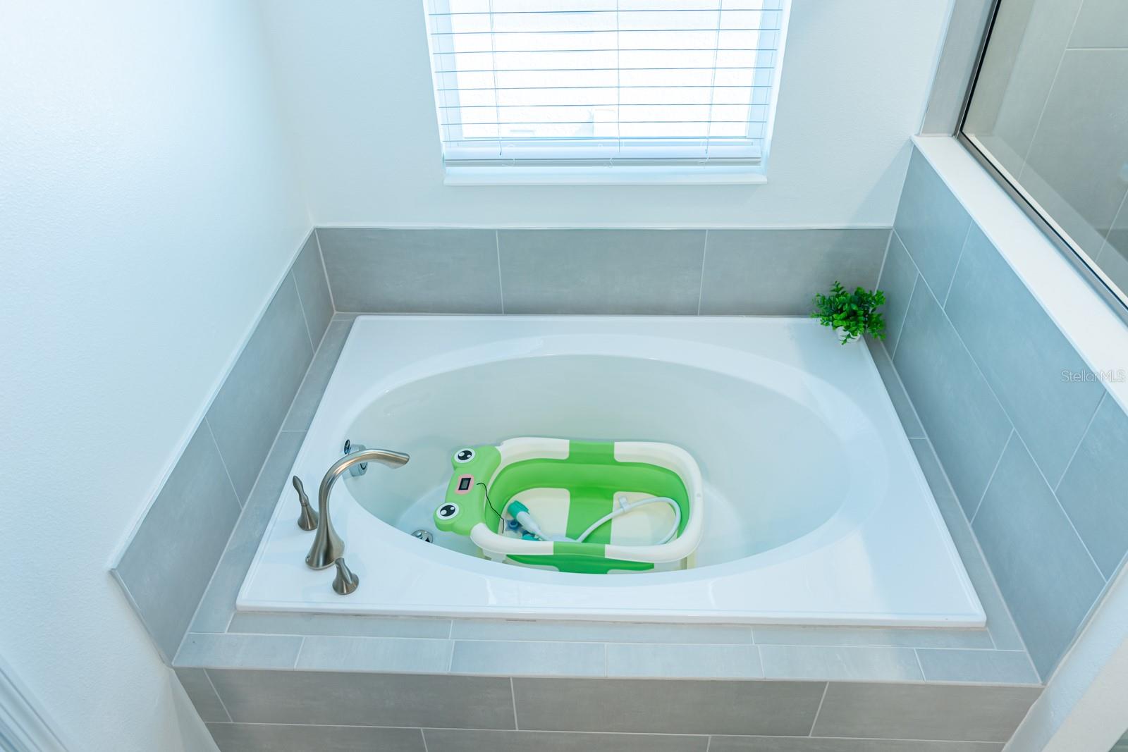 Main Bedroom Whirpool