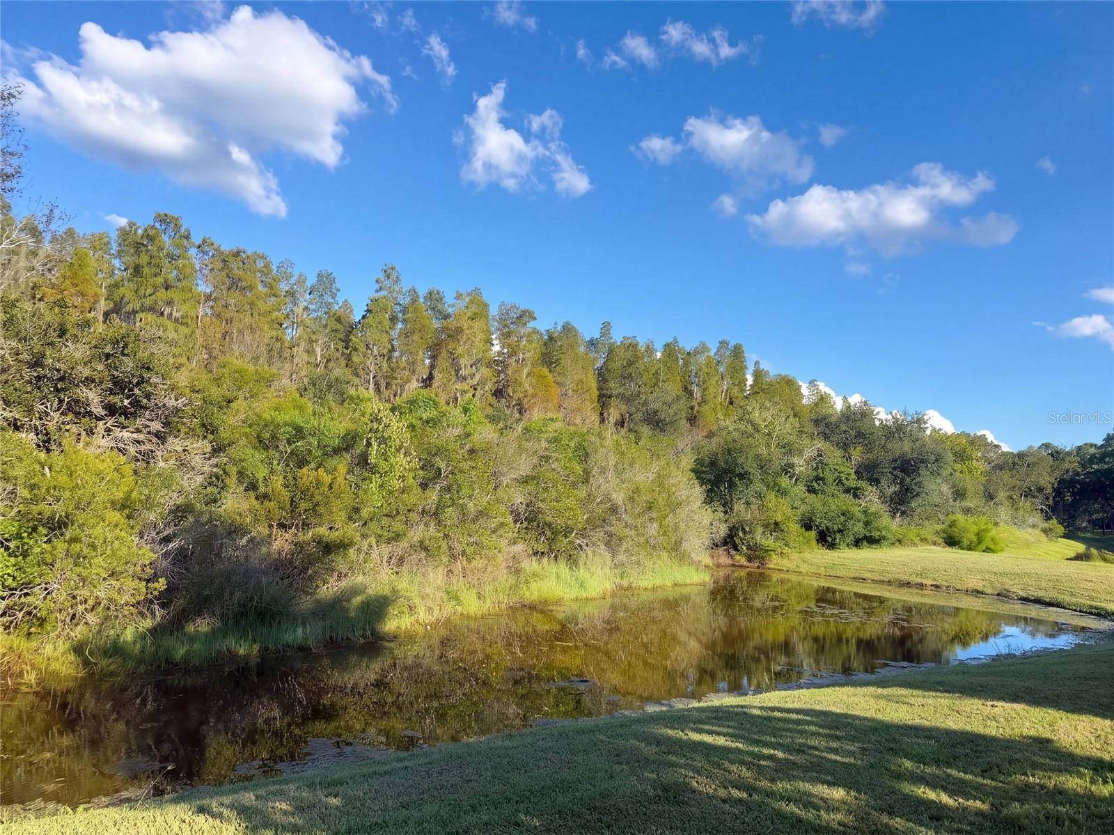 12424 BELCROFT DRIVE, Riverview, FL 33579
