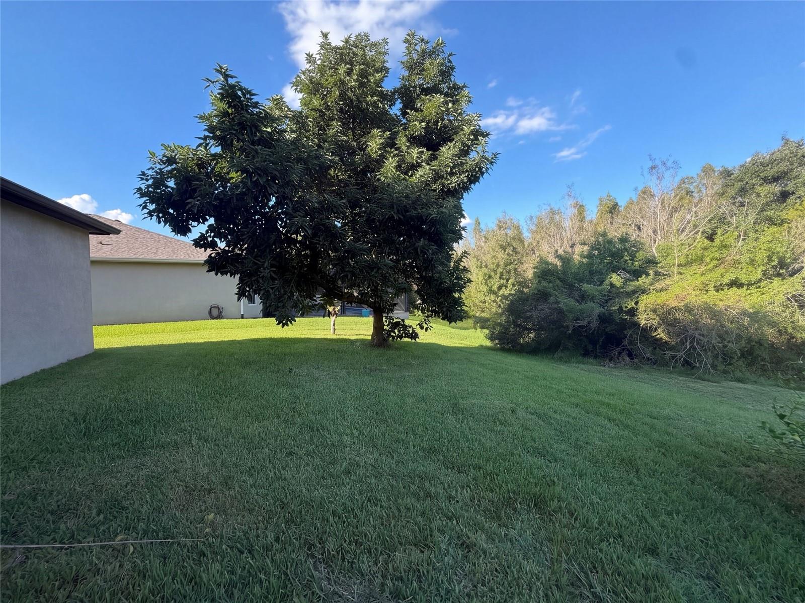 12424 BELCROFT DRIVE, Riverview, FL 33579