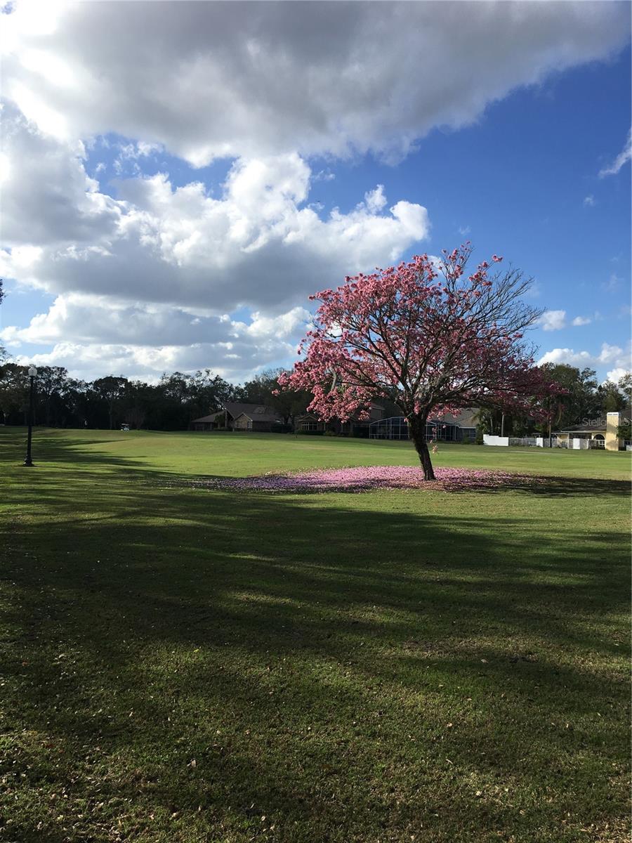 1226 KERSFIELD CIRCLE, Lake Mary, FL 32746