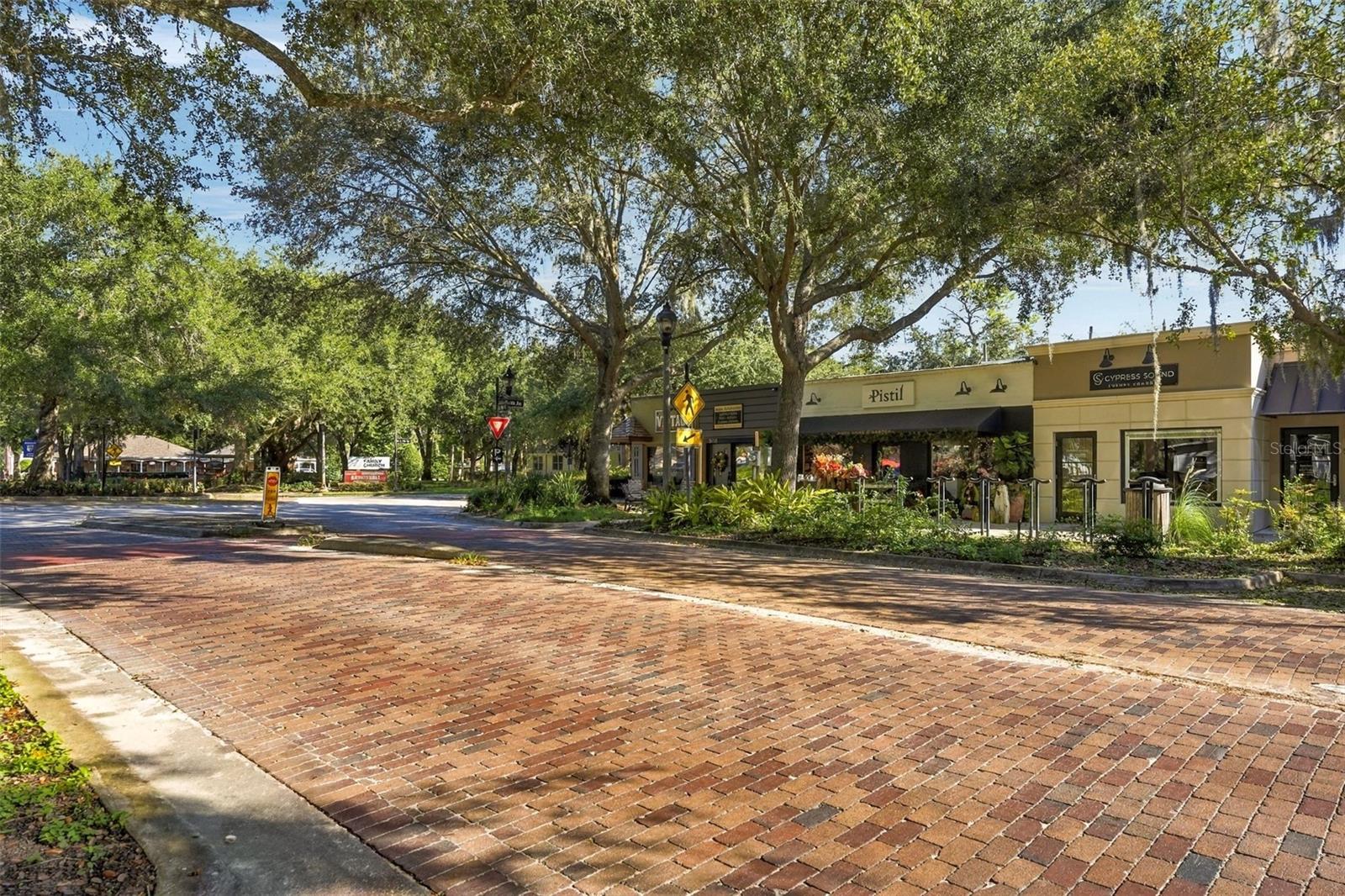 105 FOREST STREET, Windermere, FL 34786