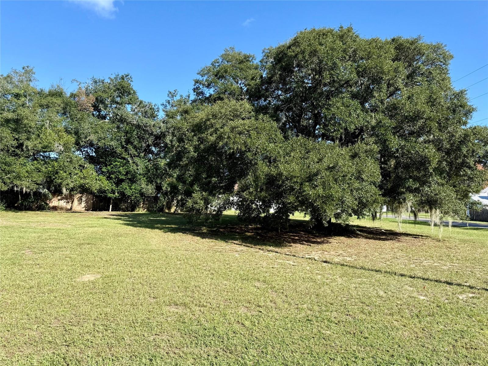 WAYCROSS AVENUE, Eustis, FL 32726