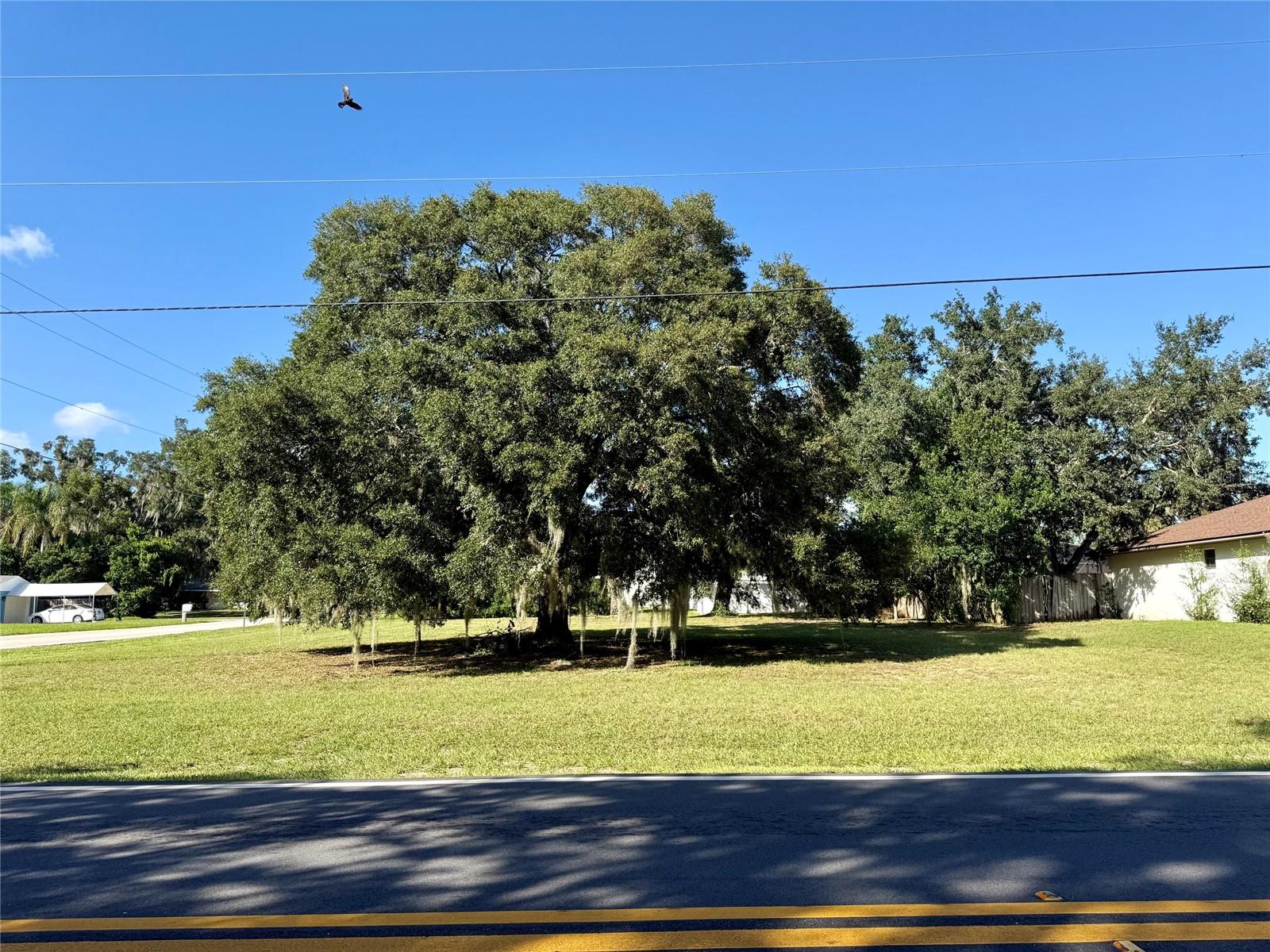 WAYCROSS AVENUE, Eustis, FL 32726