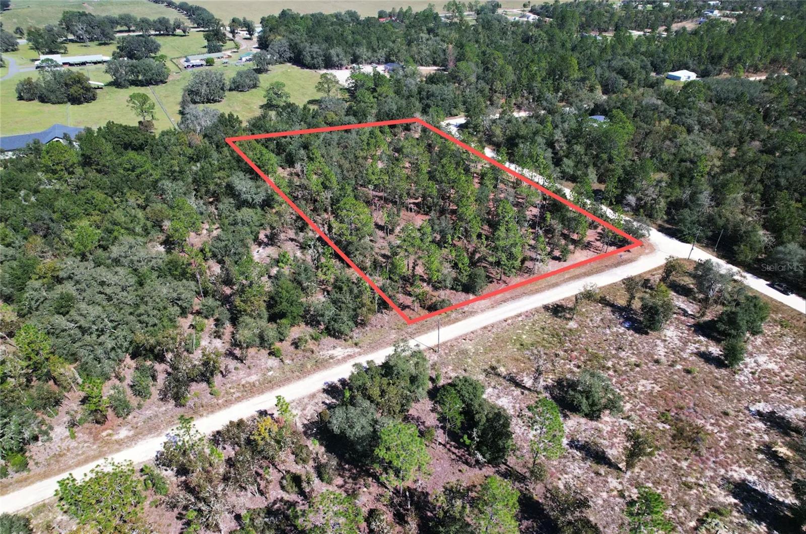 NE 16TH PLACE, Williston, FL 32696 NE 16TH PLACE, Williston, FL 32696