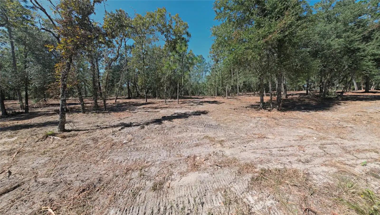 NE 16TH PLACE, Williston, FL 32696 NE 16TH PLACE, Williston, FL 32696