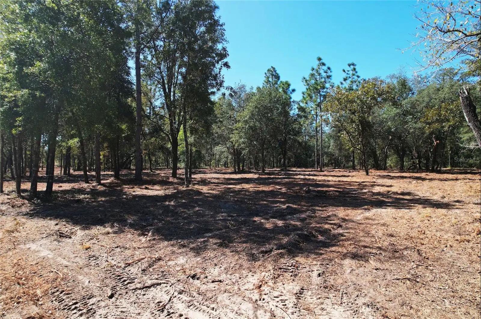 NE 16TH PLACE, Williston, FL 32696 NE 16TH PLACE, Williston, FL 32696