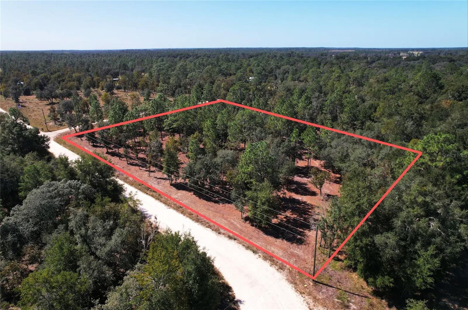 NE 16TH PLACE, Williston, FL 32696 NE 16TH PLACE, Williston, FL 32696
