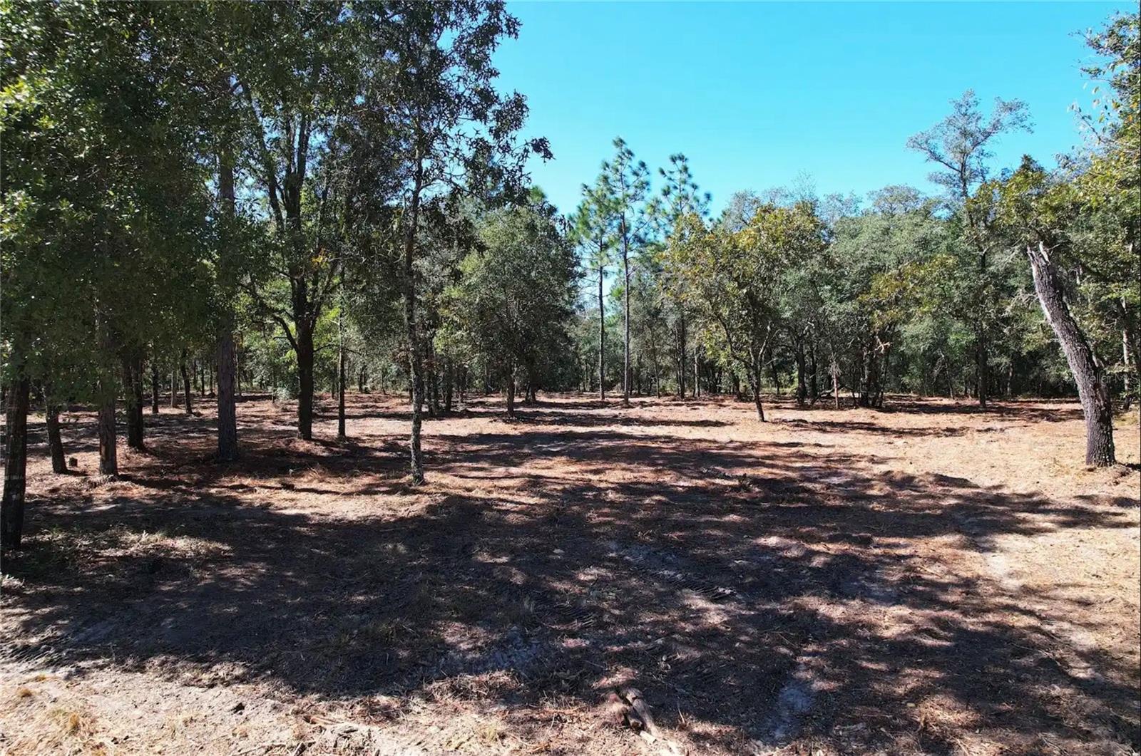 NE 16TH PLACE, Williston, FL 32696 NE 16TH PLACE, Williston, FL 32696