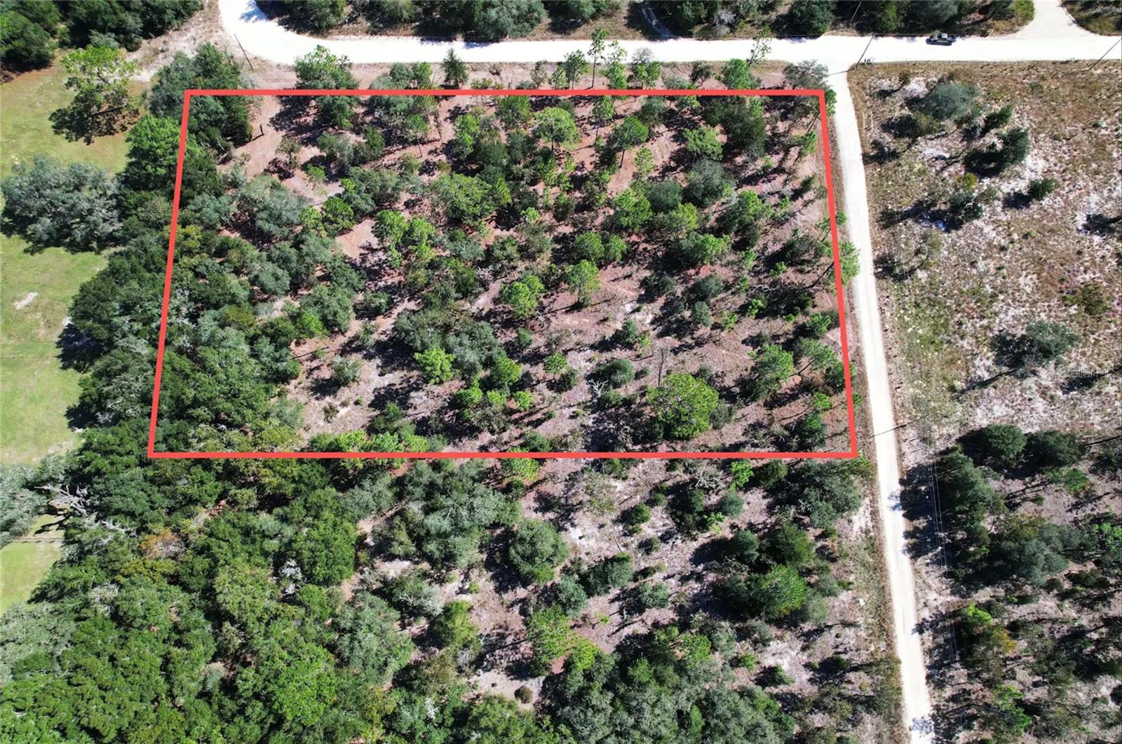 NE 16TH PLACE, Williston, FL 32696 NE 16TH PLACE, Williston, FL 32696