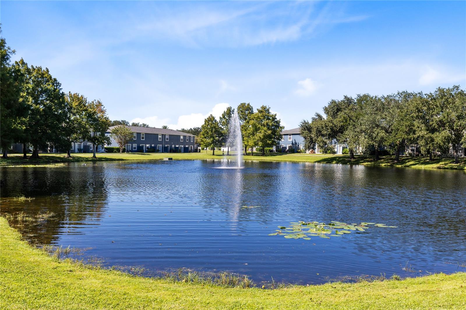 Pond View