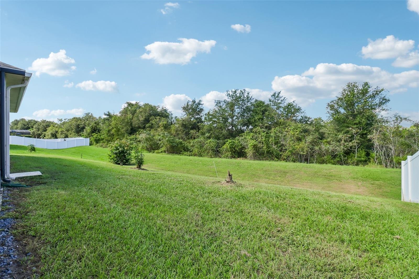 121 HARVEST GATE BOULEVARD, Groveland, FL 34736
