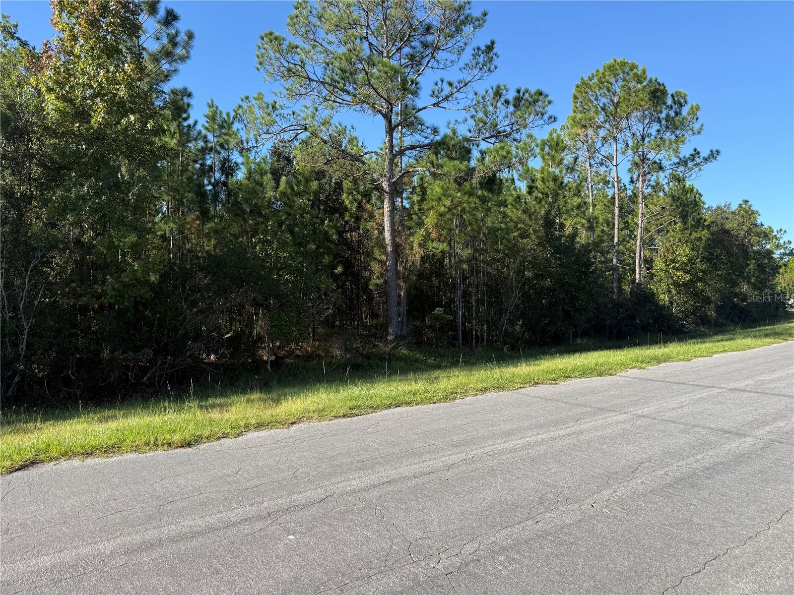REYNOLDS PARKWAY, Orlando, FL 32833