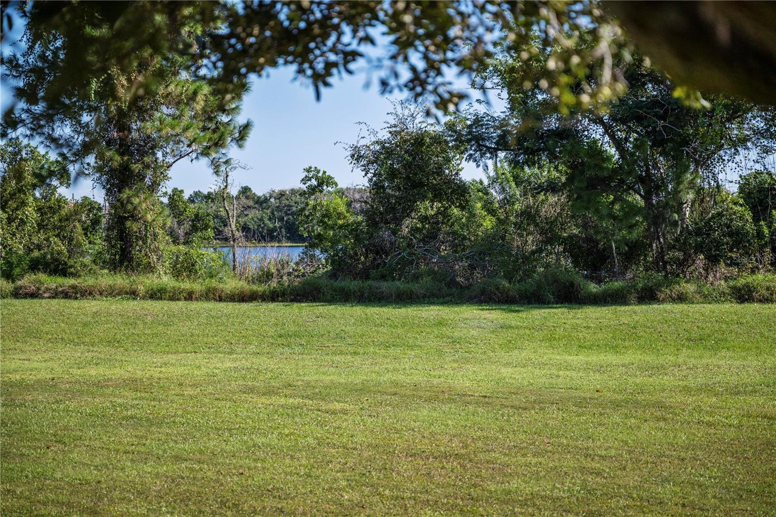 Lake views