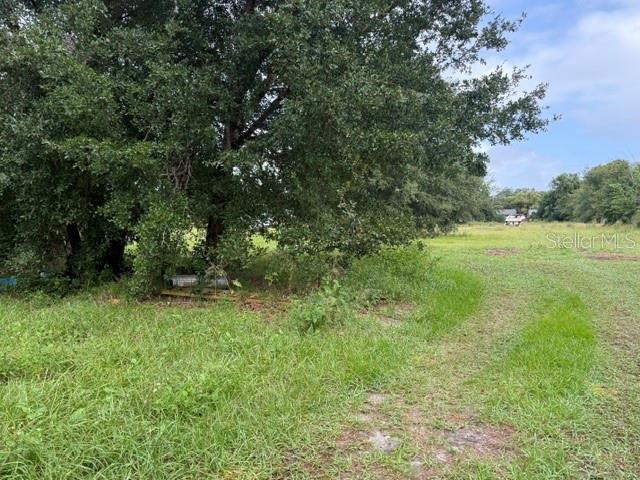 3605 DR LOVE ROAD, Orlando, FL 32810
