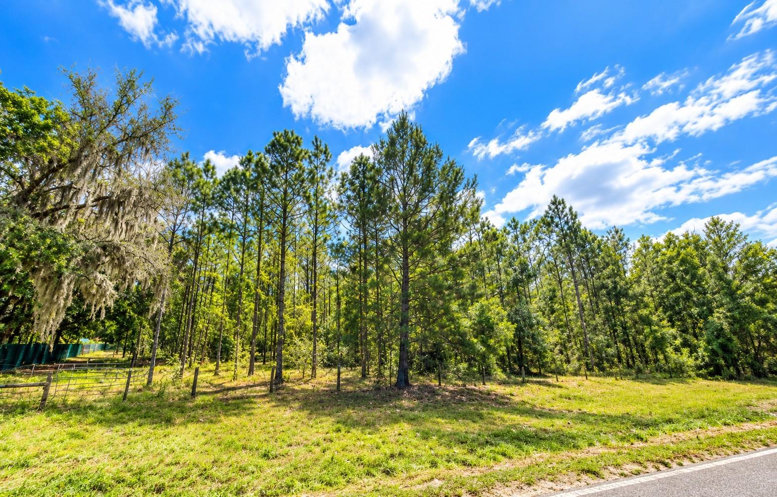 000 CR 309, Satsuma, FL 32189